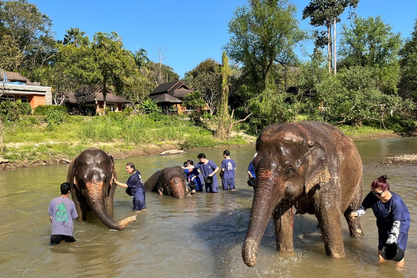2D1N Chiang Mai & Lahu Village Trekking Tour - photo 6